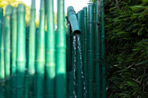 a green fence with water coming out of it at Therme Appiae in Rome