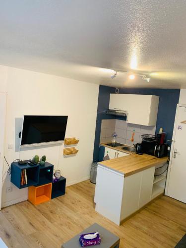 Cette chambre dispose d'une cuisine avec un comptoir. dans l'établissement Cosy appartement centre-ville Gare, à Strasbourg