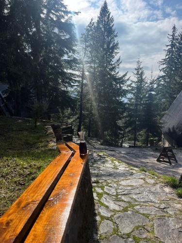 a wooden bench in a park with the sun shining at Whispering Pines in Šišava