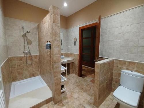 a bathroom with a shower and a toilet and a sink at Casa de Luis a 10 min Puy du Fou in Burguillos de Toledo