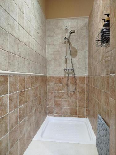 a bathroom with a shower and a bath tub at Casa de Luis a 10 min Puy du Fou in Burguillos de Toledo