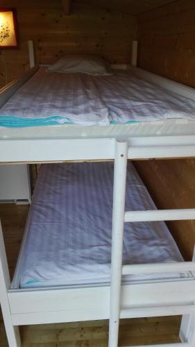 a white bunk bed in a room at SP camping Spāres Prieduļi in Nīca