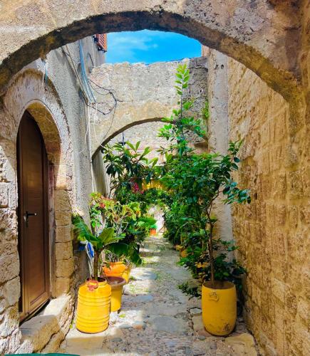 Rafaela suite old town