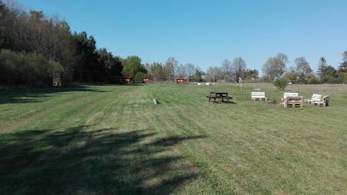 a group of chairs and a picnic table in a field at SP camping Spāres Prieduļi in Nīca
