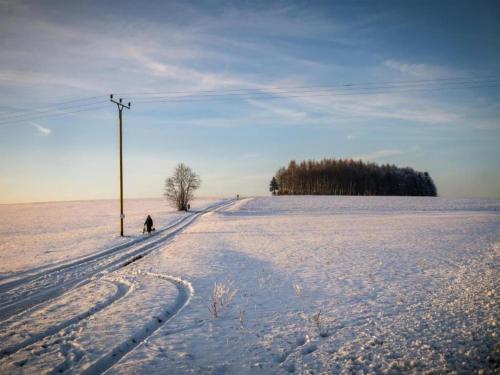 a person walking down a snow covered field at Apartment in Menkhausen near Ski Slopes in Schmallenberg
