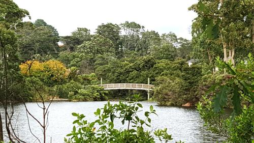a bridge over a body of water with trees at Lush & Co Auckland Bed & Breakfast in Auckland