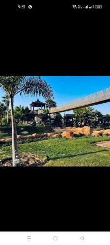 a photograph of a palm tree in a park at فيلا دوبلكس في العين السخنة في قرية بلو باي أسيا عروس السخنة in Ain Sokhna