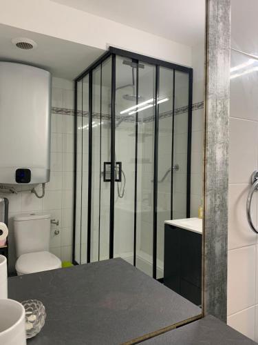 une salle de bain avec une douche, des toilettes et un lavabo dans l'établissement Cocon plage avec piscine, à côté du port et plage de sable fin, à Vallauris