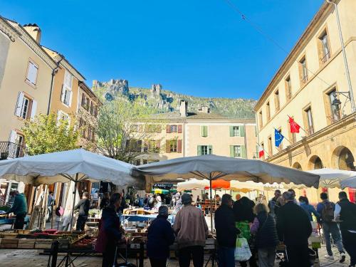 a group of people walking around a market with tents at Studio de charme avec vue, en plein coeur de Florac in Florac Trois Riviere