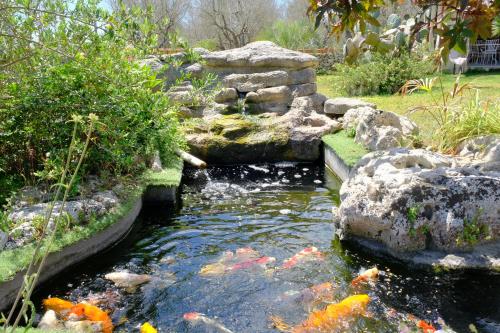 a garden with a pond with goldfish in it at Anna's House in Borgagne