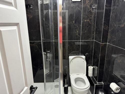 a bathroom with a toilet and a glass shower at Seaview Flat Cobh in Cobh