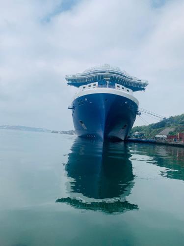a large cruise ship sitting in the water at Seaview Flat Cobh in Cobh