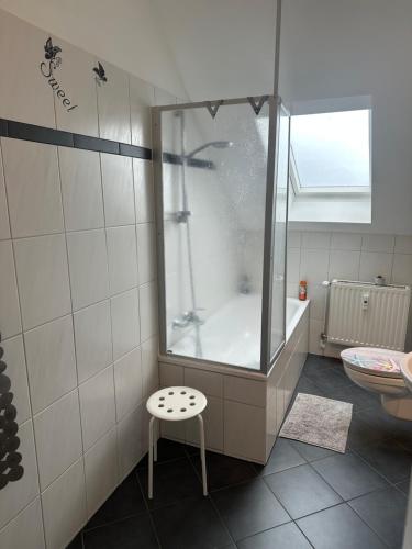 a bathroom with a shower with a stool in it at Ferienwohnung Knobloch Louis in Oberhausen