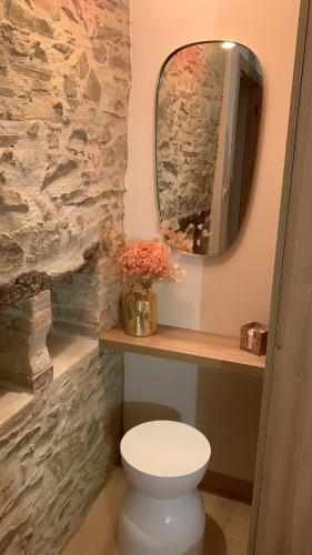 une salle de bain avec des toilettes blanches et un miroir dans l'établissement Gîte de charme avec piscine dans un environnement bucolique, à Les Forges