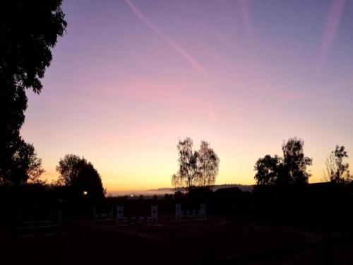 a sunset in the sky with trees in the foreground at Villa in Overloon near War Museum in Overloon