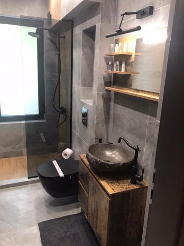 a bathroom with a sink and a toilet at Апартаменти ''Димови'' in Lozenets