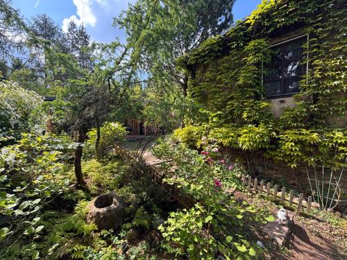 Chata u rybníka Machčák