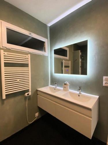 une salle de bain avec un lavabo et un miroir dans l'établissement Résidence G104-ile Grande - Les Dunes maison avec jardin clos à Ile Grande MAE-3434, à Pleumeur-Bodou