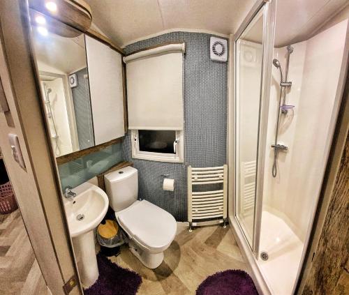a small bathroom with a toilet and a sink at WestSands Caravan in Selsey