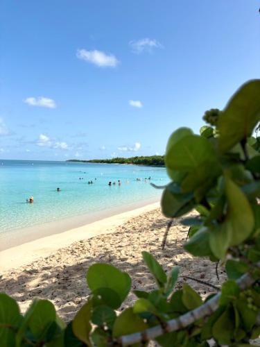 a beach with people swimming in the water at Gîte Malaka - Proche des plages et restaurants in Anse-Bertrand
