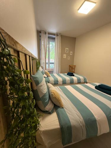 2 camas en un dormitorio con planta en Le carré Gambetta, en Carcassonne