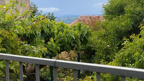 a fence in front of some bushes and trees at La Mistraline, 2 bedrm 2 bath house in the heart of Provence in Caseneuve