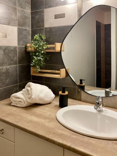 un comptoir de salle de bain avec un lavabo et un miroir dans l'établissement Le Repaire Légendaire, à Carcassonne