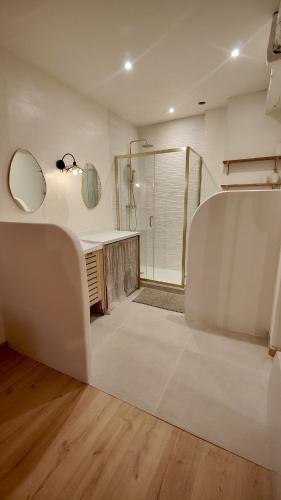 une salle de bain avec une douche, un lavabo et un miroir dans l'établissement Appartement Bayonne dans maison basque avec jardin, à Bayonne