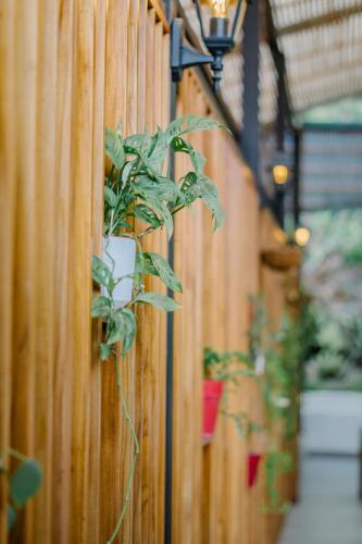 a plant in a pot hanging on a fence at Ocotal Beach House in Sardinal