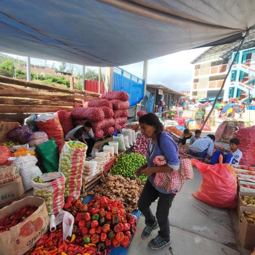 a woman standing in a market with fruits and vegetables at Villa Elena House in Tinco