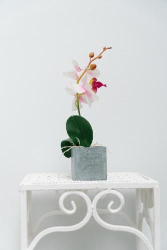 ハコにあるApartamentos Ganesha Jacóのギャラリーの写真