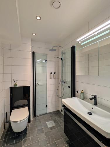 a bathroom with a toilet and a sink and a shower at Stille leilighet med topp beliggenhet i Tromsø sentrum in Tromsø