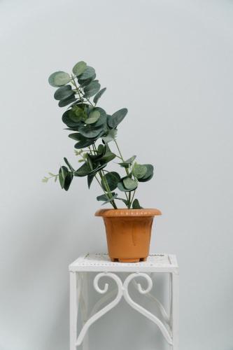 ハコにあるApartamentos Ganesha Jacóのギャラリーの写真