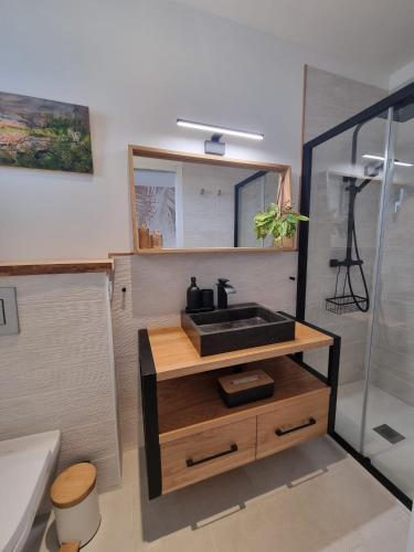 une salle de bain avec un lavabo et une douche dans l'établissement La Chambre Côté Piscine, à Aigues-Mortes