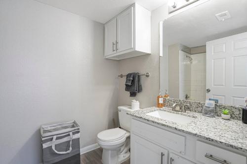 a bathroom with a toilet and a sink and a mirror at Cozy 9-Person Apt w/ WiFi near Downtown Austin in Austin