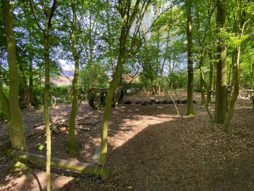 a wooded area with trees and a dirt trail at Mali in Gramsbergen