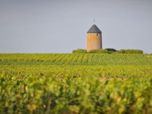a lighthouse in the middle of a vineyard with a field at Gîte rénové avec terrasse et jardin à Clisson, proche gare, commerces, restaurants et vignoble nantais - FR-1-306-900 in Clisson