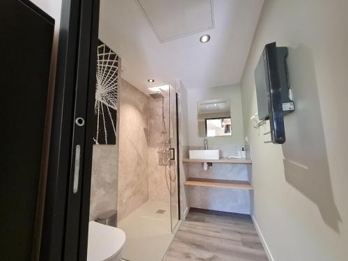 ein Bad mit einer Dusche und einem WC sowie ein TV in der Unterkunft Studio cosy avec mezzanine, cour privative et espace vert à Rochetrejoux - FR-1-426-478 in Rochetrejoux