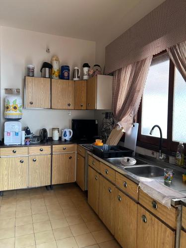 a kitchen with wooden cabinets and a sink and a window at Frida Hostel in Encarnación