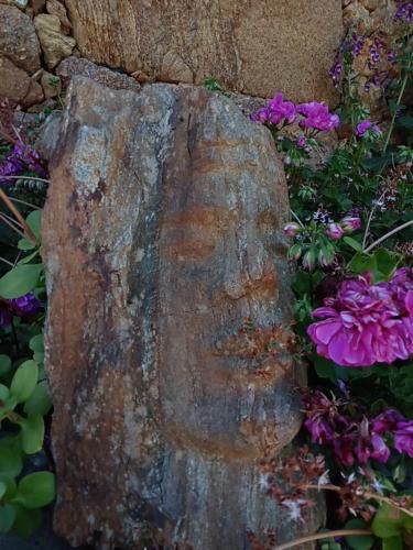 a large tree stump in a garden with flowers at Casas Coração in Codeçoso