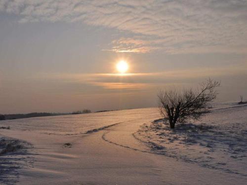 a tree in a snow covered field with the sun at Holiday home with 2 bedrooms in Meiserich
