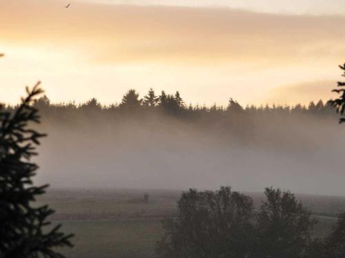 a foggy field with trees in the background at Holiday home with 2 bedrooms in Meiserich