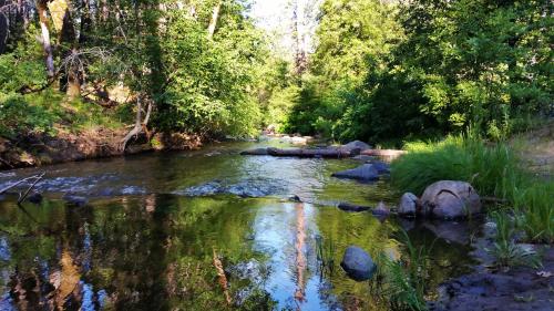 Yosemite Riverside Inn – Photos 5