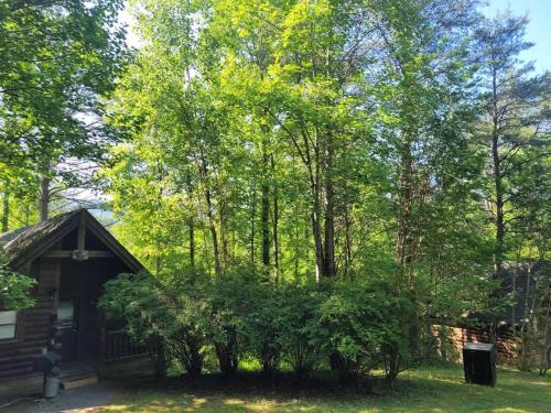 Private Studio Log Cabin! Mountain View, Hot Tub, Fireplace, Honeymoon! photo 31