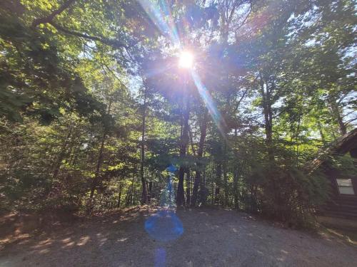 Private Studio Log Cabin! Mountain View, Hot Tub, Fireplace, Honeymoon! photo 32