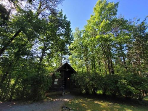 Private Studio Log Cabin! Mountain View, Hot Tub, Fireplace, Honeymoon! photo 36