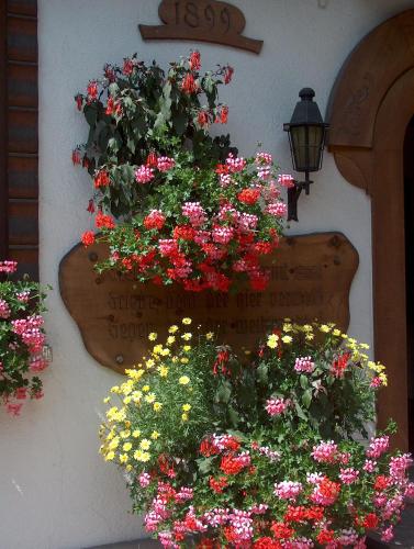 a sign on the side of a building with flowers at Hotel Gletschergarten in Grindelwald