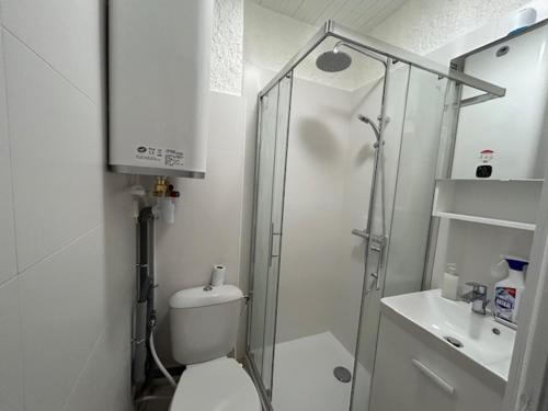 une salle de bain avec une douche, des toilettes et un lavabo dans l'établissement Appartement climatisé pour 4 personnes proche plage - FR-1-837-6, à Argelès-sur-Mer