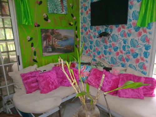 a living room with pink pillows on a couch at Cabaña de Lucas in Loma Bonita