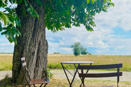 a table and a bench next to a tree at Spacious House With Sea Views In Österlen in Borrby